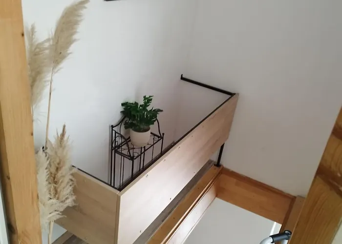 Leo Apartament Povile