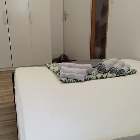 Leo *