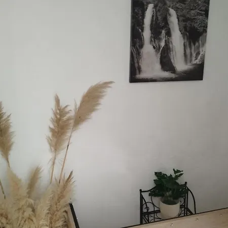 Leo *