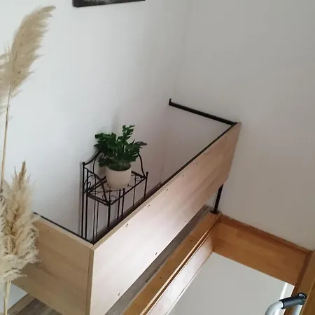 Leo Apartment Povile
